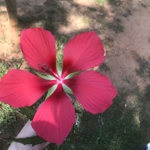 Meet your Posher, Kylie